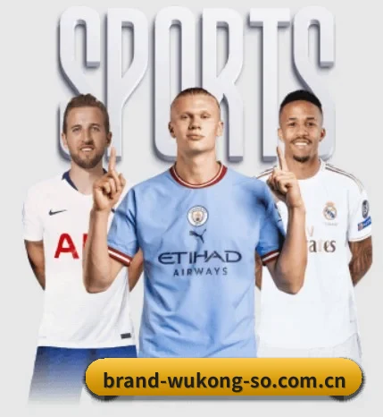 悟空体育围绕看球场景设计的核心服务 | WUKONG